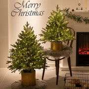 Christmas Tree Encryption Flame Retardant Christmas Decoration Super Environmentally Friendly Christmas Product Michan Direct