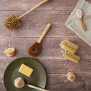 Coconut Fibre Dish Brush - Lucy And Phil Academy