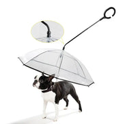 Hot Selling Transparent Pet Supplies Adjustable Pet C Type Umbrella Michan Direct