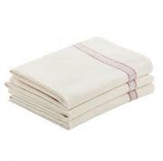 Genie Floor Cloth genie-clean.co.uk