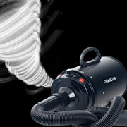 Pet Water Blowing Machine Dog Hairdryer High Power Mute Large Dog and Cat Special Drying and Blowing Artifact Michan Direct