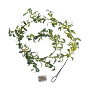 Christmas Room Interior Decoration Lights Michan Direct