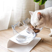 Non Slip Double Cat Bowl With Raised Stand Pet Food Cat Feeder Protect Cervical Vertebra Dog Bowl Transparent Pet Products Michan Direct