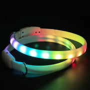 USB Rechargeable Pet Dog LED Glowing Collar Pet Luminous Flashing Necklace Outdoor Walking Dog Night Safety Collar Michan Direct