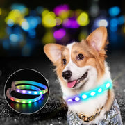 USB Rechargeable Pet Dog LED Glowing Collar Pet Luminous Flashing Necklace Outdoor Walking Dog Night Safety Collar Michan Direct