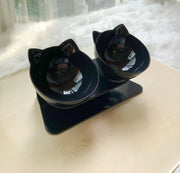 Non Slip Double Cat Bowl With Raised Stand Pet Food Cat Feeder Protect Cervical Vertebra Dog Bowl Transparent Pet Products Michan Direct