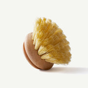 Wooden Dish Brush with Replaceable Head - Lucy And Phil Academy