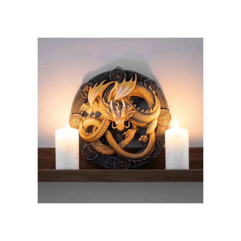Imbolc Dragon Resin Wall Plaque by Anne Stokes Lucy And Phil Academy Lucy And Phil Academy