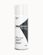 Pro-Spray Radiator Paint | 3-in-1 Heat Resistant Spray - Lucy And Phil Academy