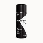Pro-Spray Radiator Paint | 3-in-1 Heat Resistant Spray - Lucy And Phil Academy