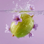 Lilacs & Gooseberries Fragrance 100ml - Lucy And Phil Academy