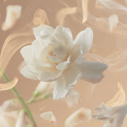 Tallulahs Camellia Fragrance 100ml - Lucy And Phil Academy