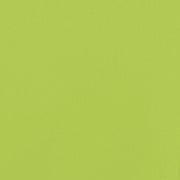 vidaXL Bike Trailer Green Oxford Fabric and Iron Lucy And Phil Academy Lucy And Phil Academy