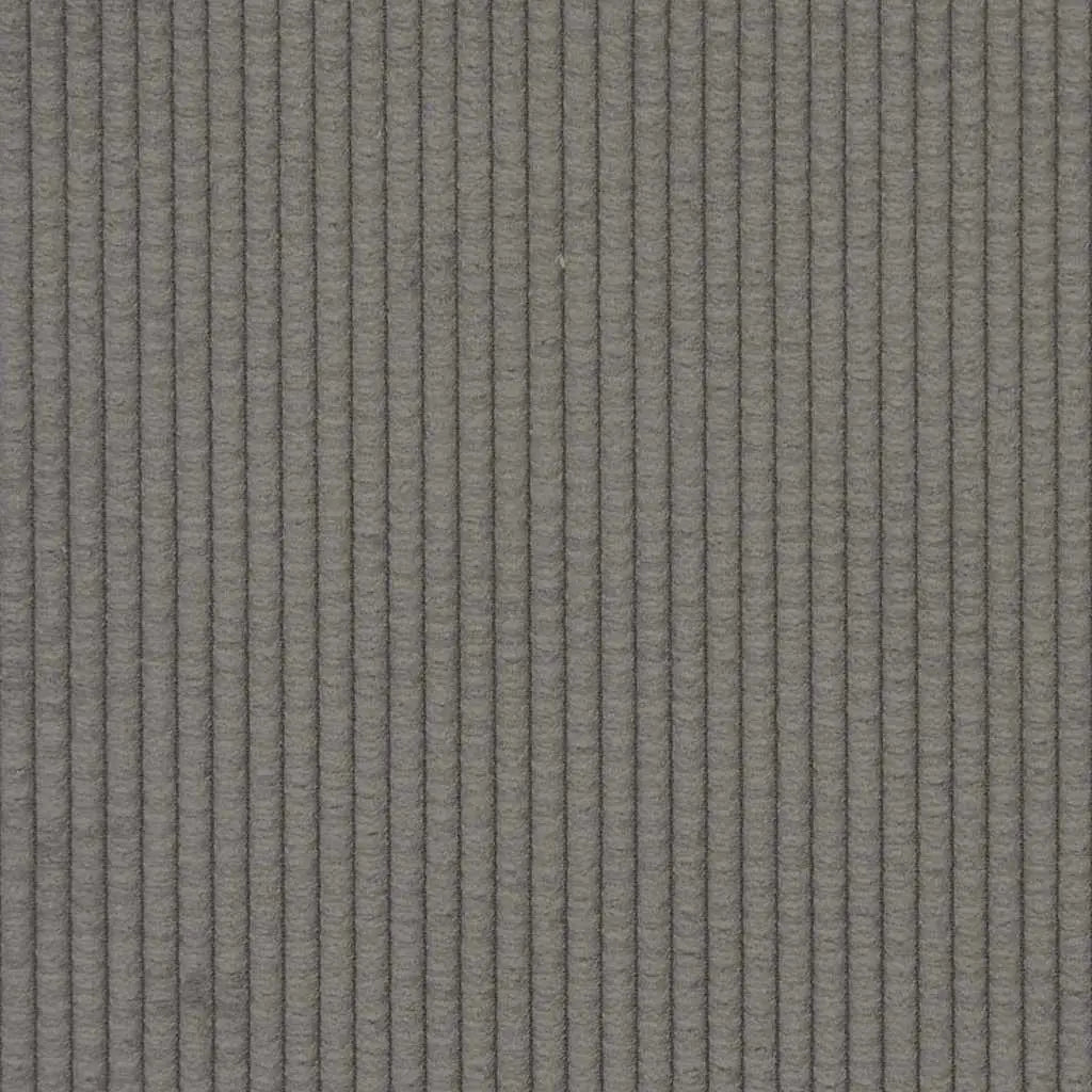 vidaXL Sofa Pillows 2 pcs Light Grey 145 x 40 cm Corduroy Fabric Lucy And Phil Academy Lucy And Phil Academy